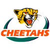 Toyota Cheetahs