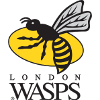 Wasps